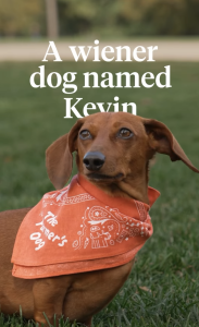 Chewy and Farmers Dog